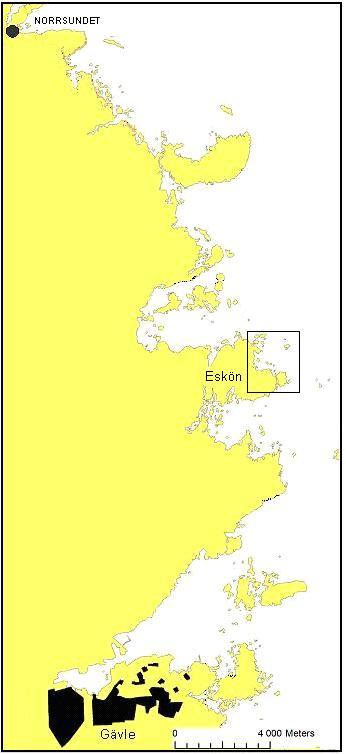 Modelleringens syfte var att beskriva förekomst av vegetation i relation till miljövariabler i undersökningsområdet.