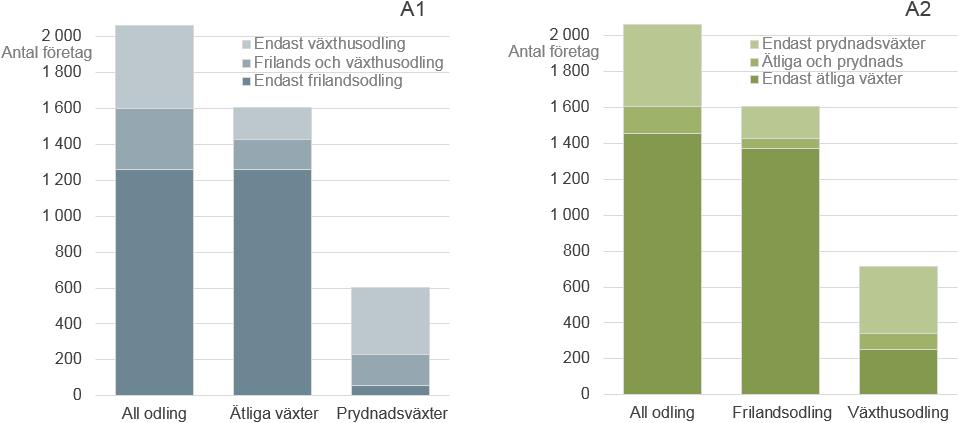 4 Statistikrapport 2017:02 Medan den absoluta majoriteten av de företag som odlade ätliga växter gjorde det på friland, bedrev lejonparten av prydnadsväxtföretagen sin verksamhet i växthus (Figur A1).