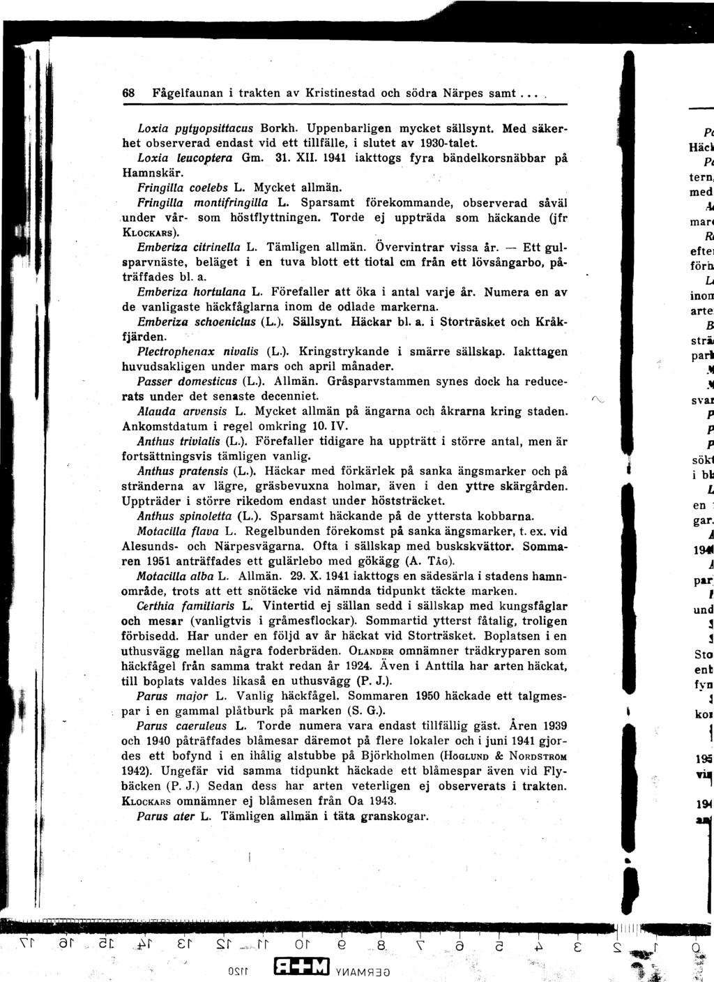 68 Fågelfaunan i trakten av Kristinestad och södra Närpes samt Loxia pytyopsittacus Borkh Uppenbarligen mycket sällsynt Med säkerhet observerad endast vid ett tillfälle, i slutet av 1930-talet Loxia