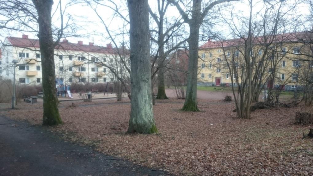 Figur 3. Foto taget i sydöstlig riktning som visar den södra delen av planområdet med lekplats och bollplan bakom gamla träd samt gångvägarna genom parken.