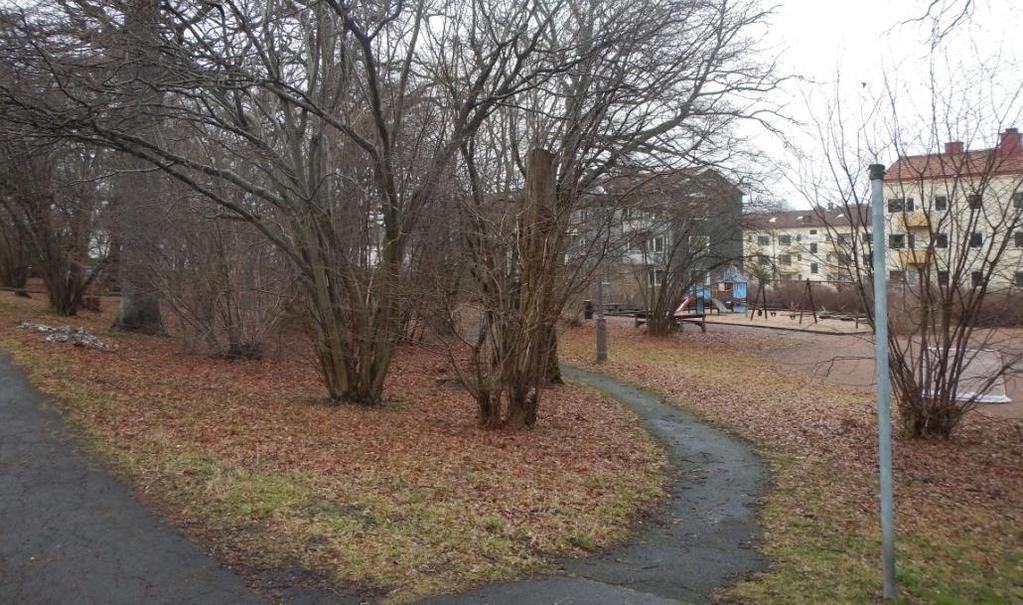 Planområdet ägs av Göteborgs Stad och fungerar i dagsläget som en kvarterspark för boende i området. Lekplatsen och bollplanen erbjuder barn i alla åldrar möjlighet till aktivitet.