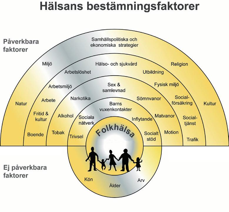 Vad bestämmer hälsan? Termen bestämningsfaktor har kommit att användas i den folkhälsostrategiska diskussionen för att beteckna faktorer som påverkar hälsotillståndet.