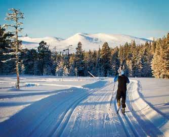 Våra preparerade skidspår är öppna för såväl klassisk åkning som skating, (vissa sträckor är dubbelspårat).