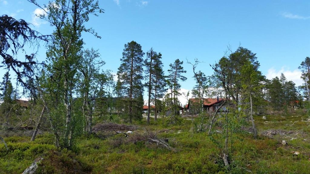 Områdesbeskrivning Inventeringsområdet ligger 5 km sydväst om Klövsjö, öster om sångbäckvallen och söder Sångbäcken, Bergs kommun, Jämtlands län.