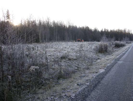 Fig. 4. Vy över delar av utredningsområdet mot sydväst.