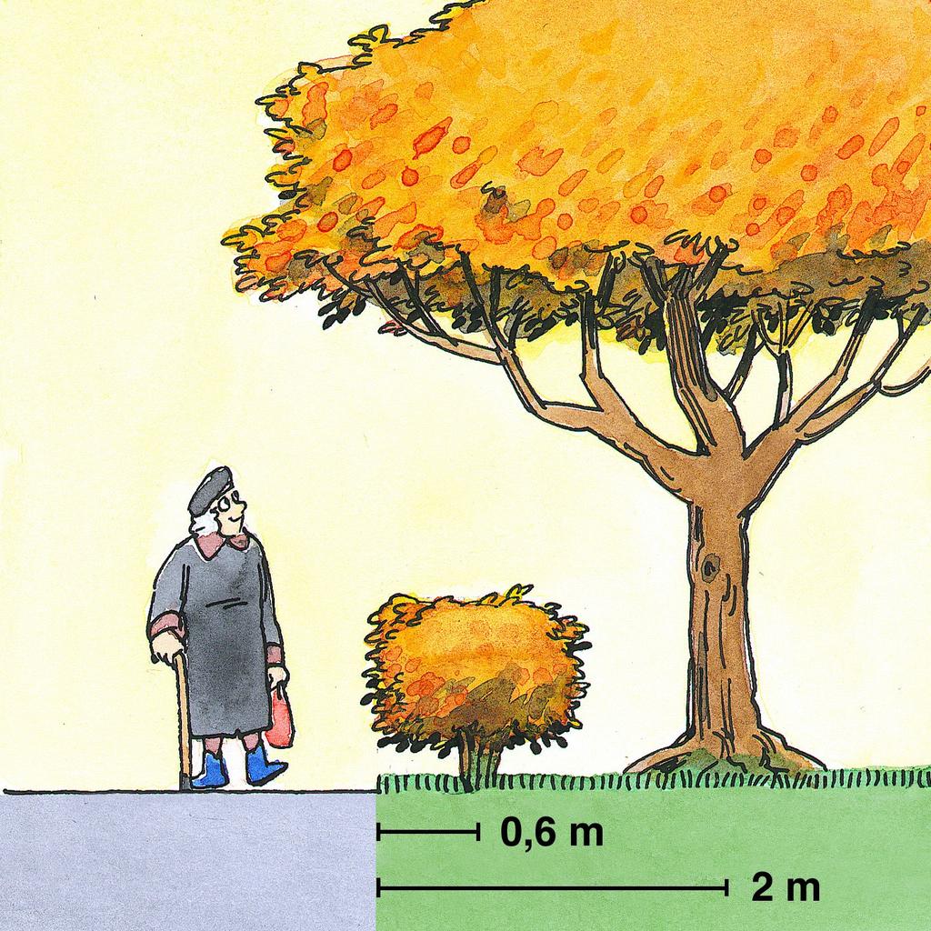 Planteringsavstånd och rekommendationer Plantera på rätt ställe! Häck- och Busk plantor ska placeras minst 60 cm innanför tomtgräns.
