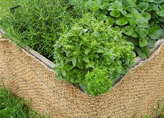 Ängskullen Ängskullen bör ha växter som påminner om en sommaräng. Vårt förslag är prästkragar, smörboll, förgätmigej och vallmo som finns att köpa som perenner hos plantskolan.