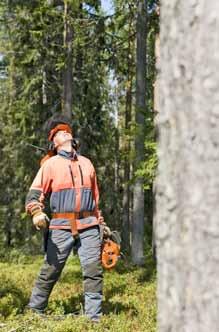 LANDSHYPOTEK AB 2011 Finansiell struktur Tillgångar Den största tillgångsposten i balansräkningen är Utlåning till allmänheten, som uppgår till 55 580 (51 773) MSEK.