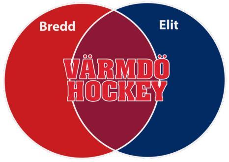 UNGDOMSVERKSAMHETEN Värmdö Hockeys riktlinjer och indelningar för barn- och ungdomsverksamheten grundas på svenska ishockeyförbundets riktlinjer samt de målsättningar vår egen förening har.