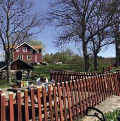 Före och efter lunch hade Lill en visning runt på gården då hon berättade om djuren och jordbruket på gården. Uppe i ladugården tittade vi på och klappade lamm och tackor.