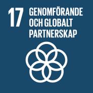 Även Agenda 2030 mål 17 om genomförande och globalt partnerskap innehåller ett delmål om att uppmuntra och främja effektiva offentliga och offentlig-privata partnerskap samt partnerskap inom det
