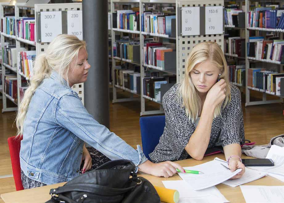 DEN GEMENSAMMA FÄRDRIKTNINGEN Den framtida arbetskrafts- och kompetensförsörjningen är en nyckelfråga för länets långsiktiga utveckling.