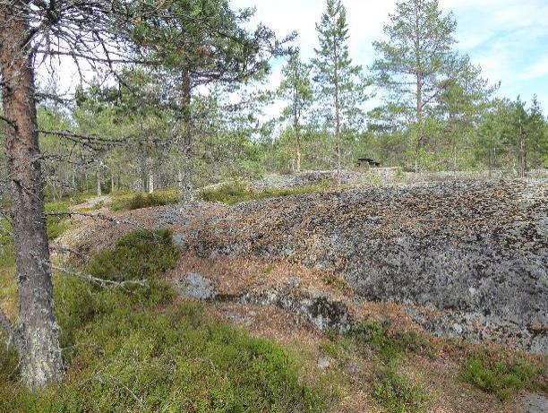 Norra delen av den befintliga parkeringsytan. Figur 6. Rastmöbler och grillplats i naturmark. Figur 7.