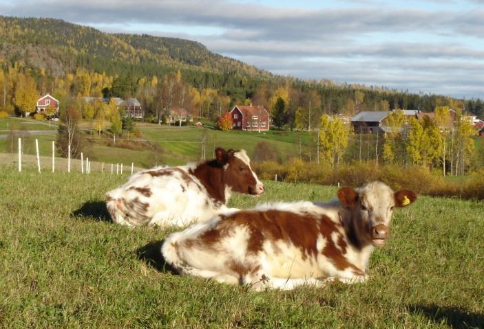 Det finns mindre jordbruksområden som är mycket viktiga för landskapskaraktären men som utgör en liten del av arealen. Sjöar och våtmarker har även de en liten utbredning inom kommunen.