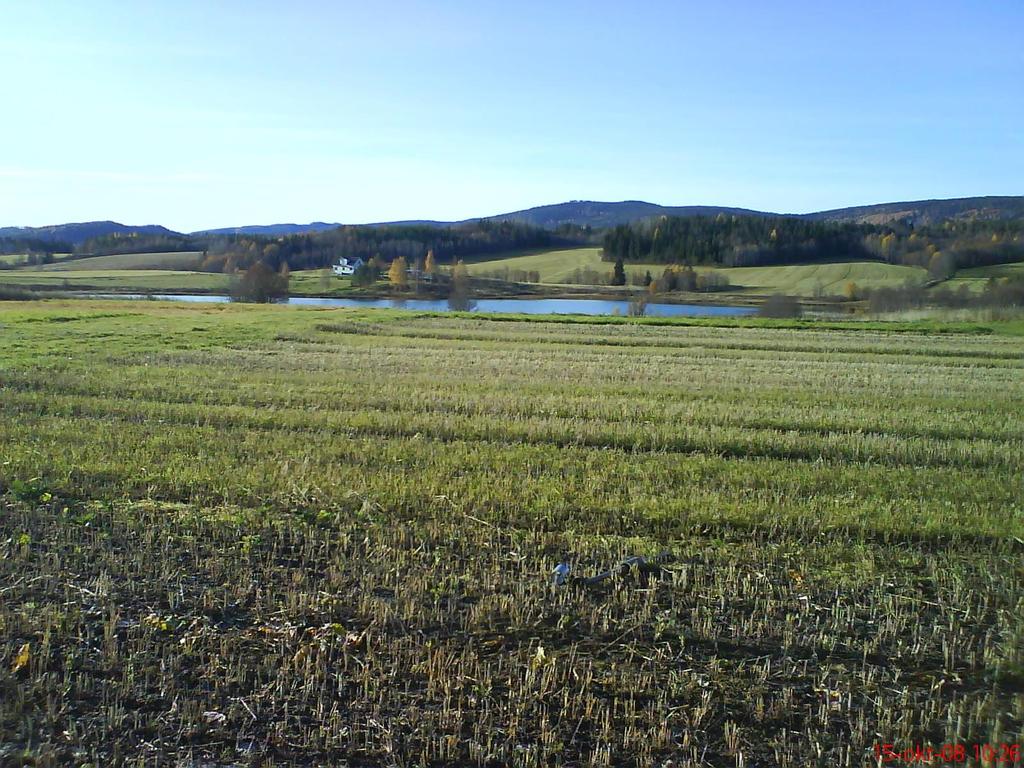 Organiskt C% (0-20 cm) Fleråriga växter (vallar) bygger upp kolförrådet 5,5 5 4,5 4 3 platser i Norrland; 6-åriga växtföljder 0,4 0,8 ton C