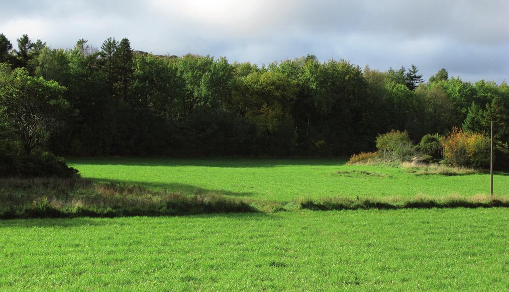 (foto: Ramböll) Delar av det hölänta