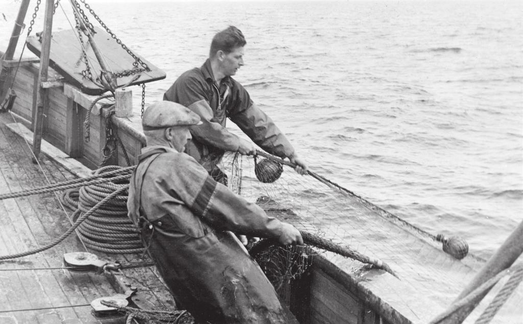 ...Fiskberedninsindustrin likaså (foto: