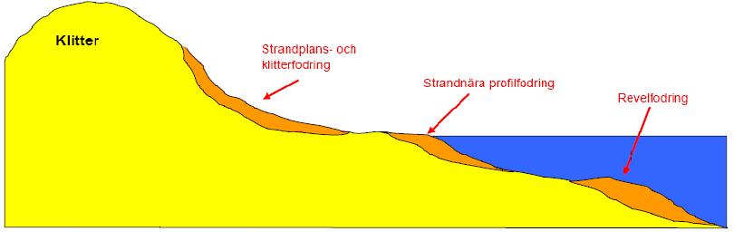 Naturkust: Strandfodring på kortare sikt till 2050 -påfyllnad av