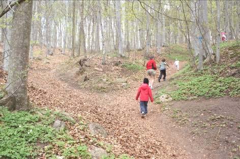 Barnvänlig bergsbestigning 26 april En vårdag i april var det dags för vår barnvänliga bestigning av Omberg.