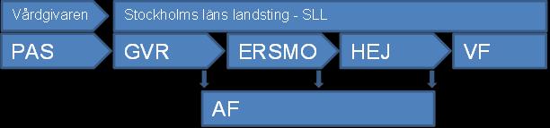 Informationssystem Socialstyrelsens definition av informationssystem är: system som insamlar, bearbetar, lagrar eller distribuerar och presenterar information.