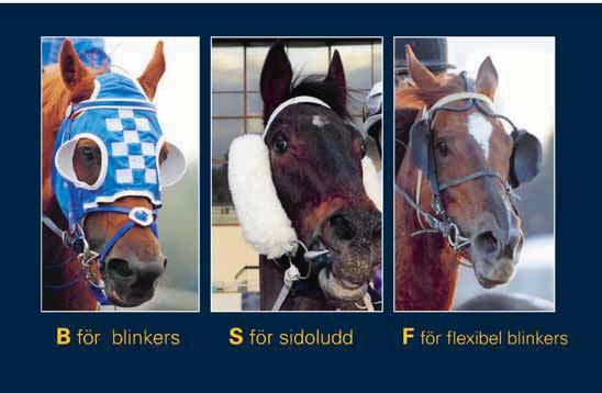 LD - Specialkomb 00 dt Ca kl.0 - LIKE A CHARM (IRE) 9 Elione Chaves CAPPUCCINO-HANDICAP 00 dt 6.000 kr 8.000-.000-6.700-.00-.800 Brons. För -åriga och äldre hästar.