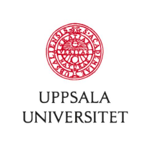 Institutionen för pedagogik, didaktik och utbildningsstudier Självständigt arbete 2 för grundlärare Fk-3 och 4 6, 15 hp Språkets betydelse för elevers