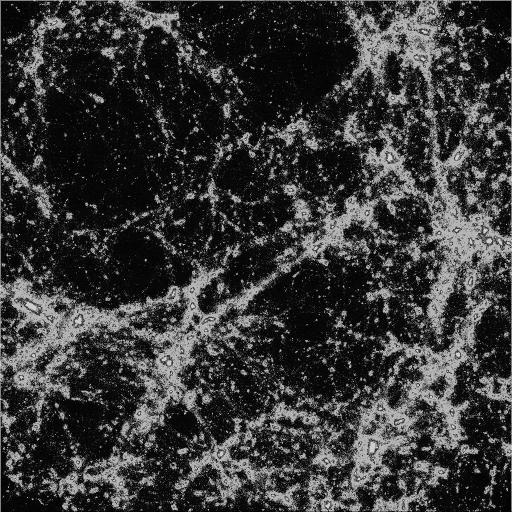 och tomrum Galaxhoparna grupperar sig och bildar
