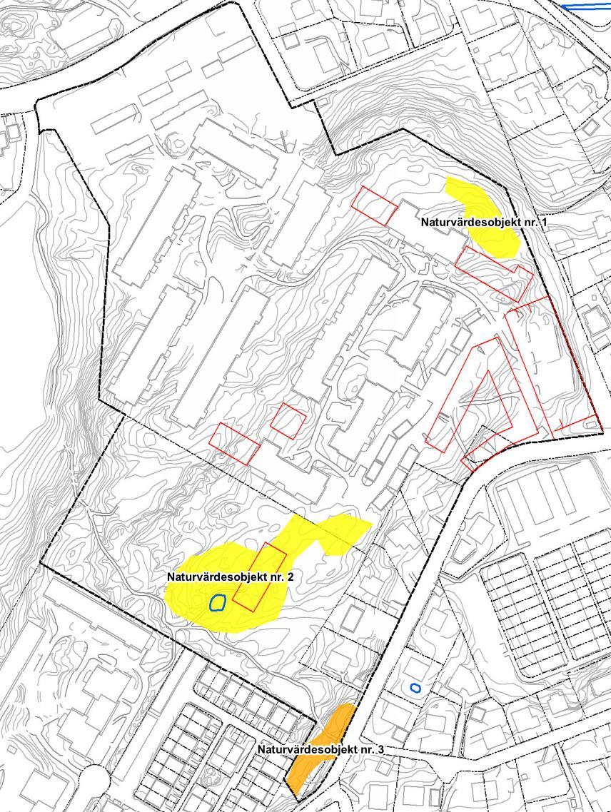 NATURVÄRDESINVENTERING FÖR DETALJPLAN AVSEENDE BOSTÄDER OCH FÖRSKOLA VID TOREDAMMEN 13 Figur 2. Naturvärdesobjekt i området.