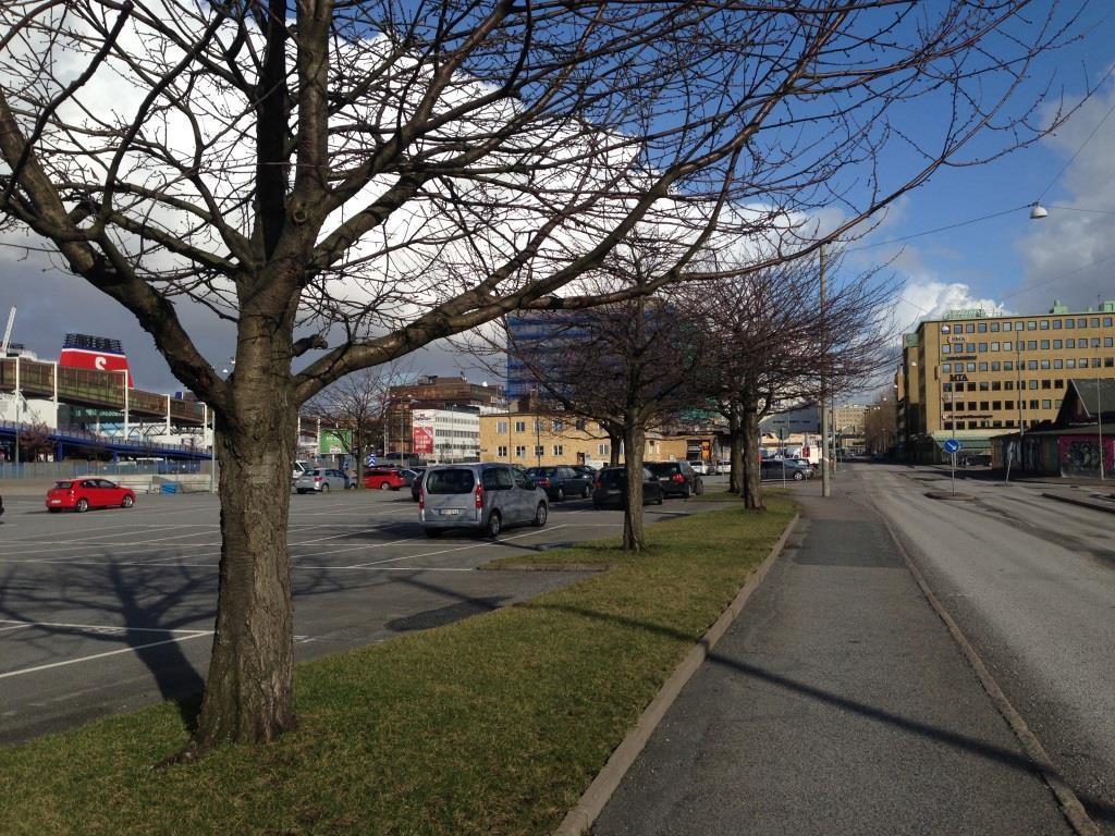 Bilaga 1. Bilder grönytor. Yta nr 1.