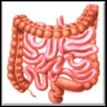 72) Effekt av D-vitamin på överlevnad n Vitamin D (+/- kalcium) minskade dödlighet (RR 0.