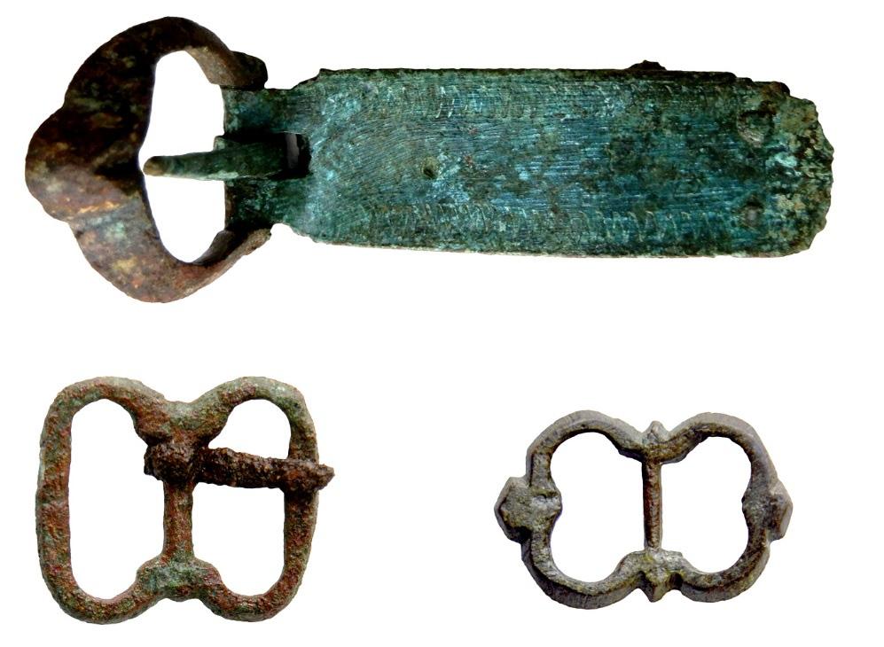 Figur 14. De tre söljor som påträffades.