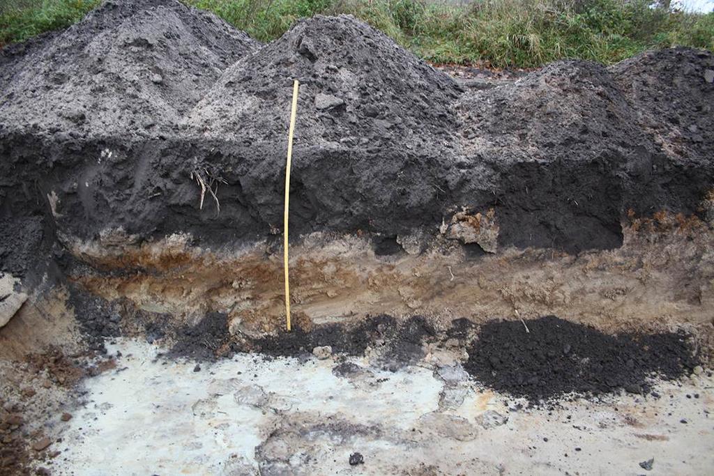 0,60 meters djup. Handrensning genomfördes översiktligt med spade och intensivt med skärslev där anläggningar förekom.