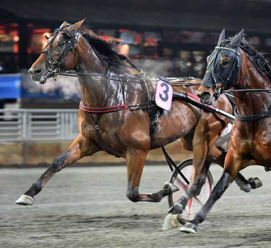 HalmstadTravet Måndag april Första start kl 8.