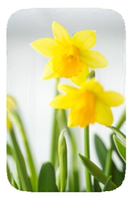 Övrigt: Onsdag 5 april och 19 april kl 13.00 Handarbetscafé i församlingshemmet. Besök gärna vår hemsida: www.svenskakyrkan.se/edefors.