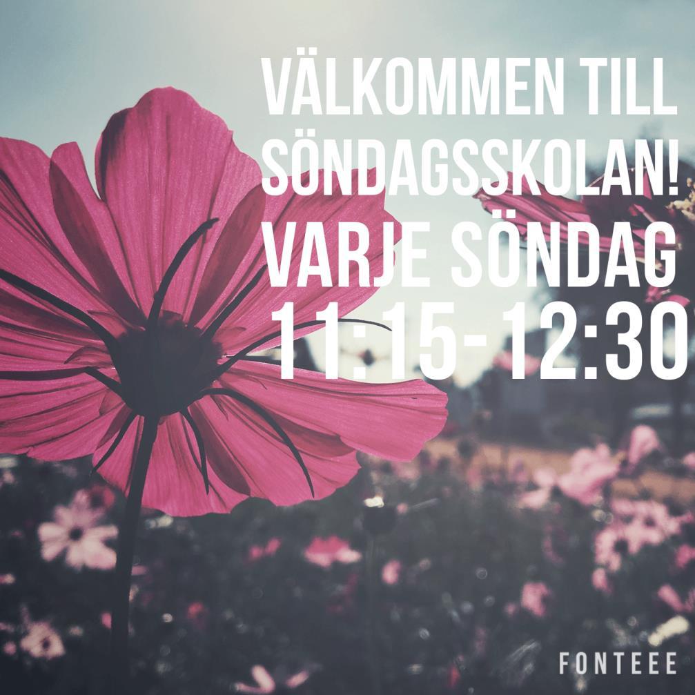 stort tack från mig till de andra deltagarna i arbetsgruppen och lärarkollegiet.
