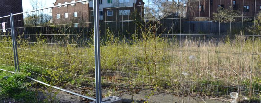 Ödetomt utmed Föreningsgatan Under vandringen ställdes frågan vad som händer med denna tomt? Ogräset börjar dra sig ut på trottoaren. Ansvarig: Stadsledningskontoret Åtgärd/svar: Privat tomtmark.