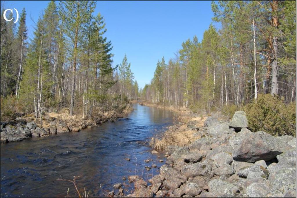 Avrinningsområdet för Vindelälven är 12 650 km 2 och älven är 453 km långt och härstammar från gränsen mellan Sverige och Norge