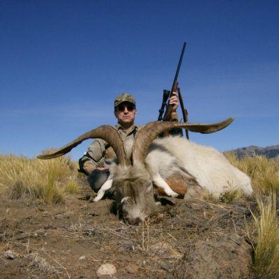 Davids Deer, Feral Oxe, europeisk mufflon, Hybrid Sheep, Somali Ram, Black Jacob s Ram,