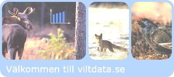 Svenska Jägareförbundets viltövervakning www.viltdata.