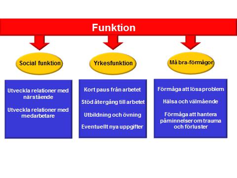Funktion Vad menas med Funktion? Stress kan nedsätta en individs förmåga att fungera och prestera på alla livets områden, i arbetet såväl som i privatlivet.
