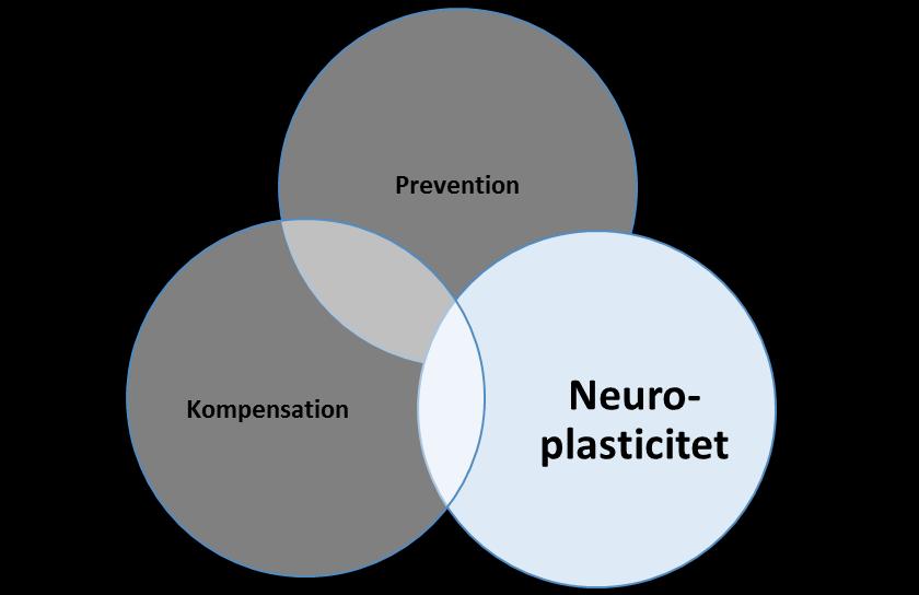 Exercise-enhanced neuroplasticity