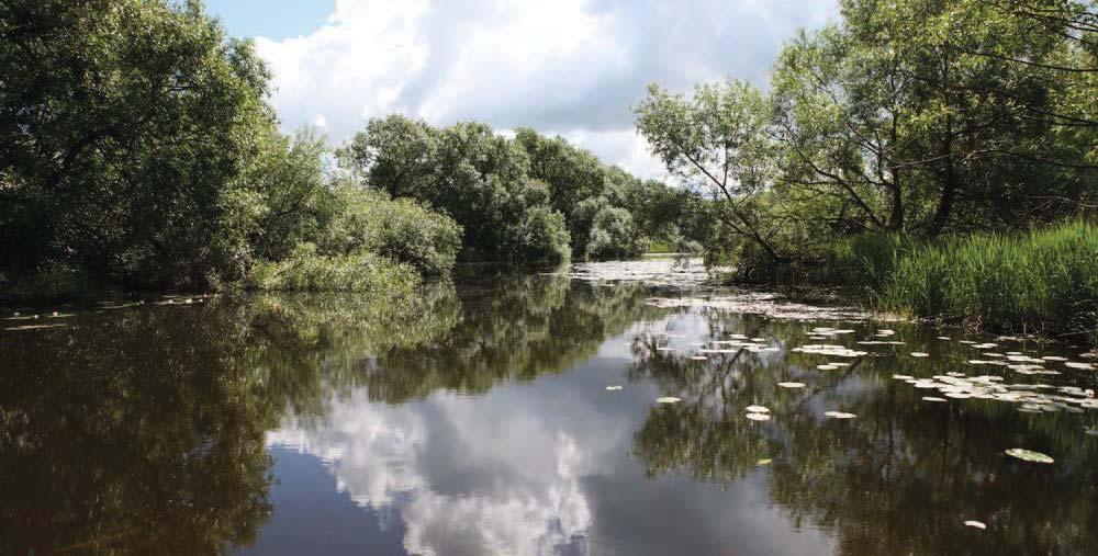 Driftramar Nämnd är anslagsbindningsnivå och några detaljbedömningar har inte gjorts. Eventuella satsningar inom en nämnd får ske genom rationaliseringar eller omprioriteringar inom nämnden.