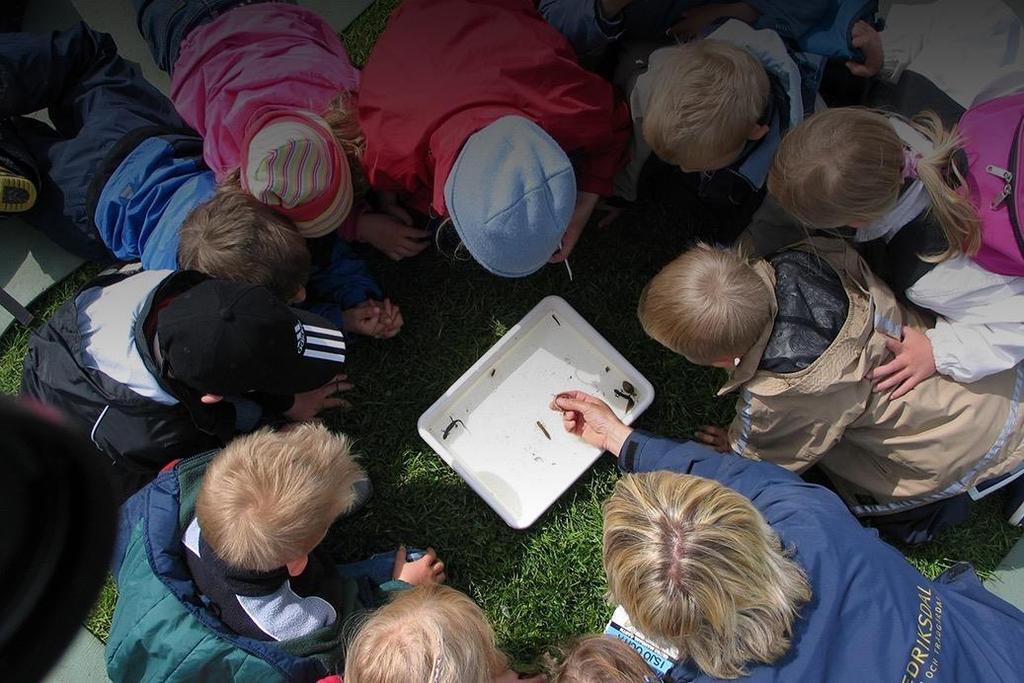 En långsiktigt hållbar samhällsstruktur med starkt kulturliv, föreningsliv och stort ideellt engagemang