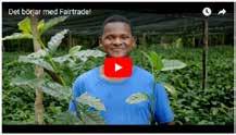 Fairtrade International ägs till 50 procent av de odlare och anställda som certifieringen verkar för.