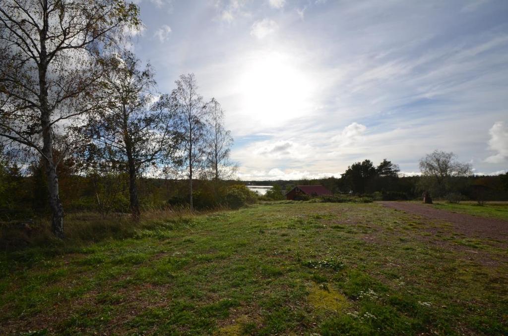 Tomten och