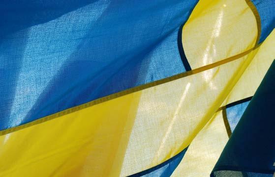 Konstitutionella utgångspunkter Funktionsfördelning All offentlig makt i Sverige utgår från folket. (1 kap.