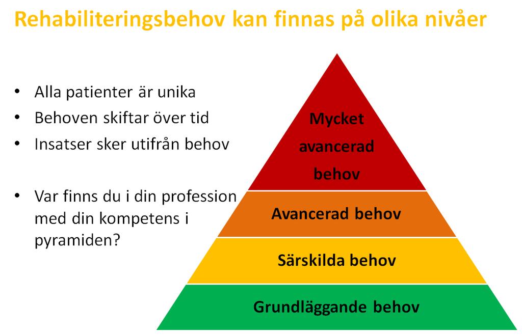 Cancerrehabilitering Förhållningssättet som rekommenderas är att rehabiliteringsfrågor ska aktualiseras redan från dag ett - helst redan när misstanke om cancer finns.