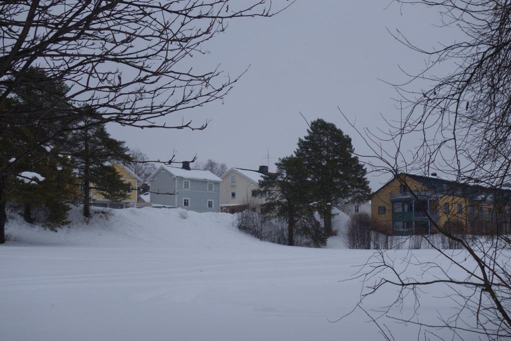 Kulturmiljöanalys Gültzauudden 2016-03-22 Foto mot norr, från gräsplanen upp mot Älvgatan. Områdesbeskrivning Gültzauudden ligger längst ut i Luleå stadskärna, nordvästlig riktning.