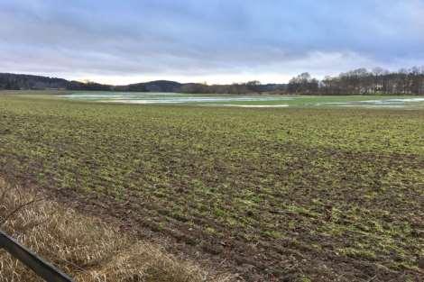 Bevarandemålet i zon C är öppen jordbruksmark. Skötselåtgärder: Åkermarken ska skötas och brukas som åker-, betes- eller slåttervall. Åtgärder får göras som höjer naturvärdena.