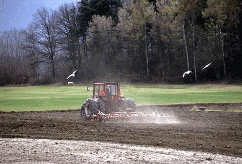 Sammanfattning SLU utvecklar kunskap om biologiska naturresurser och hållbart nyttjande av dessa genom